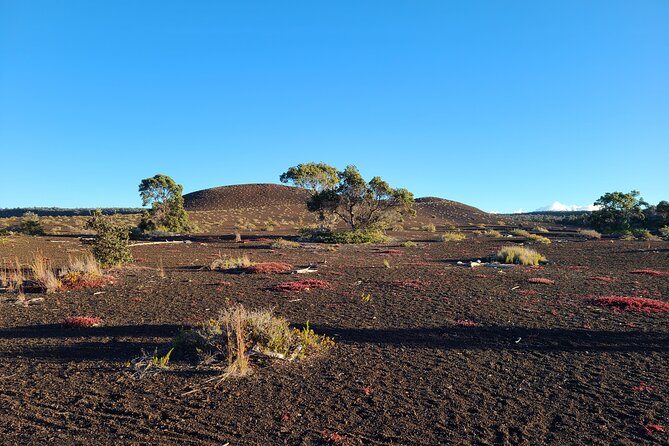 Private Tour of Hawaii Volcanoes National Park - Accessibility and Physical Requirements