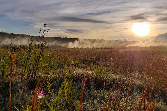 Private Tour of Hawaii Volcanoes National Park - Who Will Most Enjoy This Tour