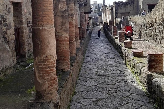 Private Tour Of Herculaneum & Mount Vesuvius - Practical Details and Additional Costs