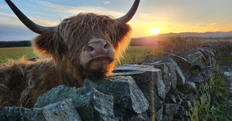 Private Tour of Highlands, Lochs & Castles from Edinburgh - Inveraray Castle: A Royal Home of the Clan Campbell