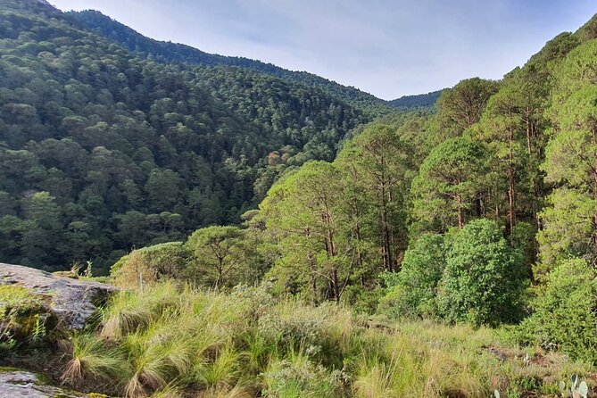 Private Tour of Huasca de Ocampo in Razer Ranger - How the Itinerary Unfolds: From Transfer to Exploration