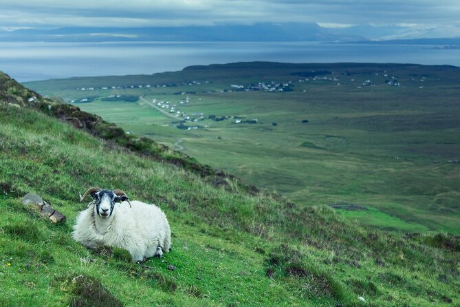 Private Tour of Loch Ness, Glencoe and Highlands from Glasgow - The Experience and What Makes It Stand Out