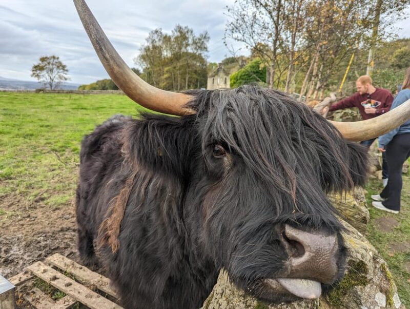 Private Tour of Loch Ness, Pitlochry, Glencoe and Highlands - Unique Stops: Commando Monument and Rannoch Moor