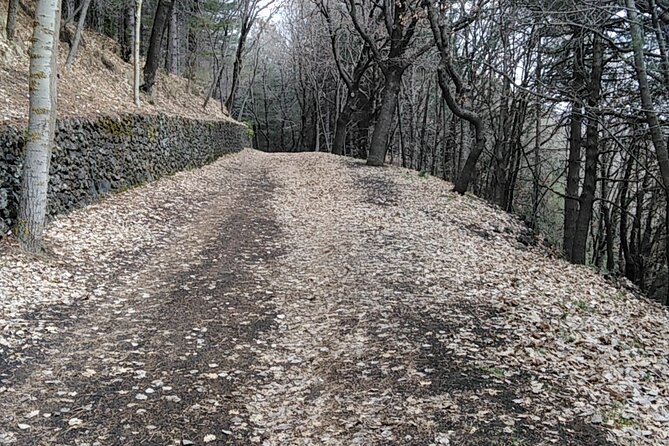 Private tour of Mount Etna and the Alcantara Gorges - Key Points