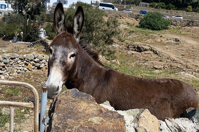 Private Tour Of Mykonos Included Town - Kalafatis Beach and Scenic Photo Opportunities