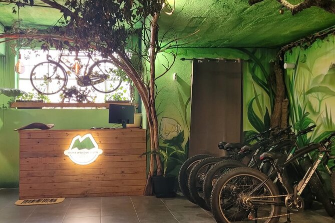 Private Tour of Nazareth - Peniche - Óbidos - Starting Point and Logistics in Sintra