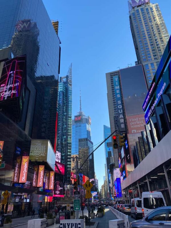 Private Tour of New York Iconic Landmarks & Hidden Gems - Flexibility and Practical Details of Booking