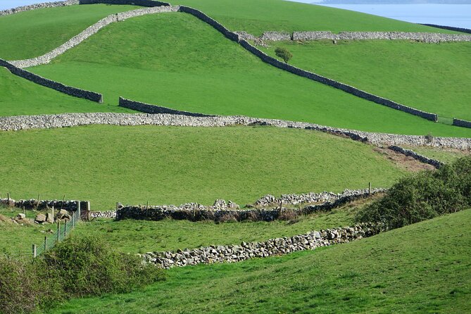 Private Tour of Newgrange and The Hill of Tara - Flexibility and Customization during the Tour