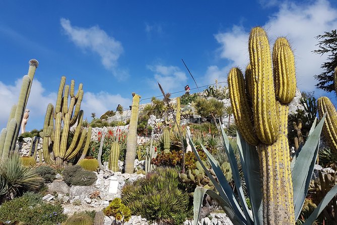 Private Tour of Nice, Monaco & Eze with a local guide - Scenic Stops and Photo Opportunities along the Coast