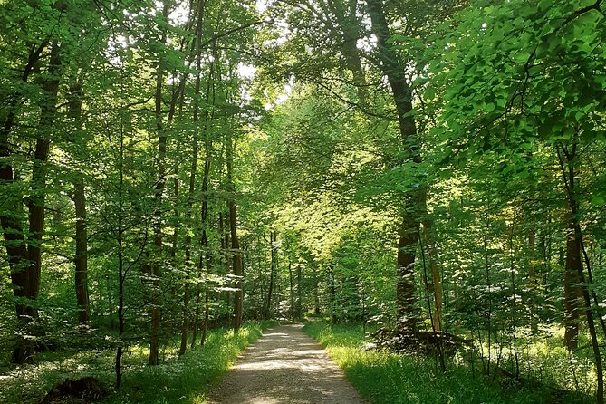 Private Tour of Nymphenburg Palace and Gardens - Logistics and Meeting Details