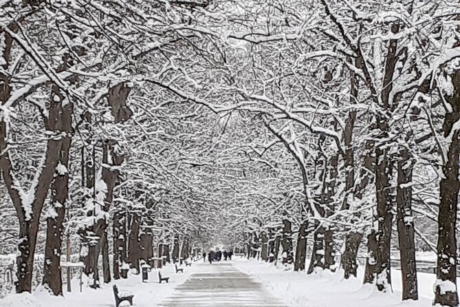 Private Tour of Nymphenburg Palace and Gardens - How This Tour Stands Out