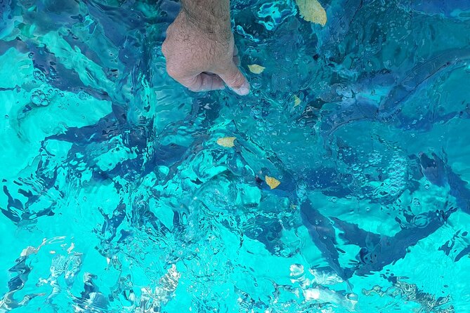 Private tour of Pakleni islands, Red Cliffs & South Shore of Hvar - Zarace Village: Optional Swim and Relaxation