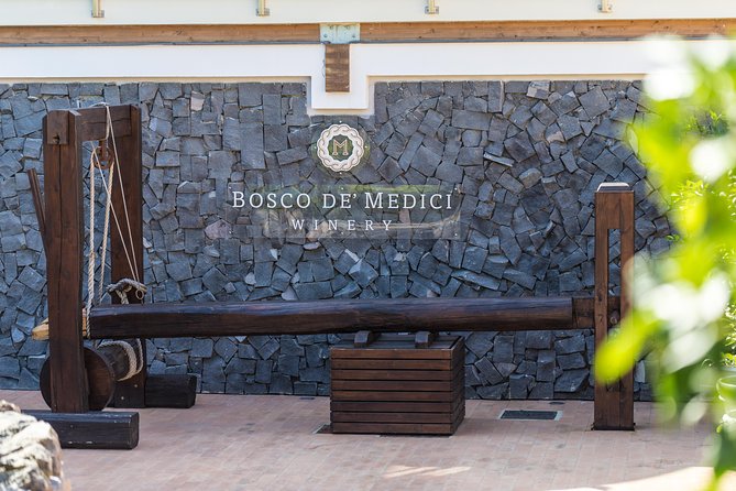 Private tour of Pompeii Ruins + Organic Wine and Lunch tasting - What’s Not Included and Additional Considerations