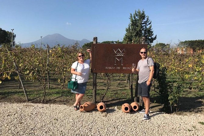 Private tour of Pompeii Ruins + Organic Wine and Lunch tasting - The Experience of a Private Guided Tour