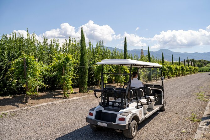 Private tour of Pompeii Ruins, Organic Wine tasting and Lunch - Practical Tips for Participants