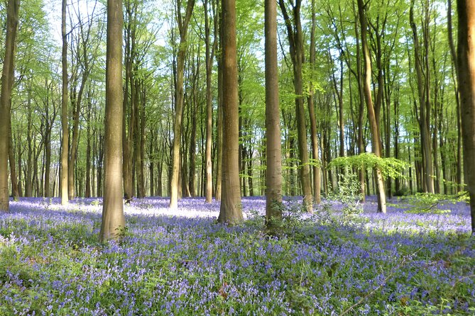 Private Tour of Quintessential Wiltshire and Cotswold Villages - Lacock Village and Film Location Fame