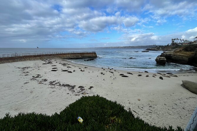Private Tour of San Diego in a Lexus ES300 Hybrid - Cabrillo National Monument with Exceptional Bay Views