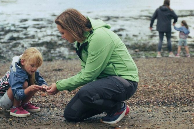 Private Tour of Scottish Highlands, Loch Lomond and castles - Starting from Edinburgh with Flexible Itinerary Options