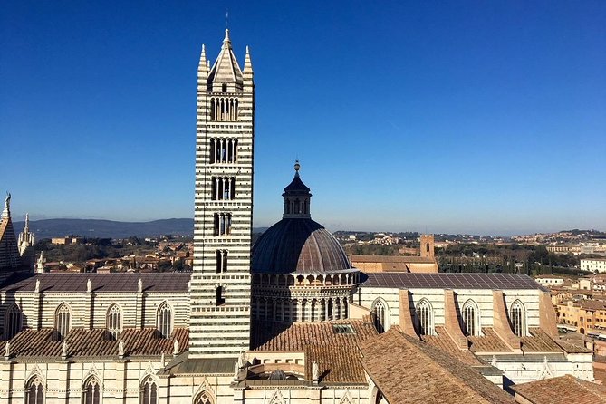 Private Tour of Siena Cathedral - Guides Known for Knowledge and Friendliness