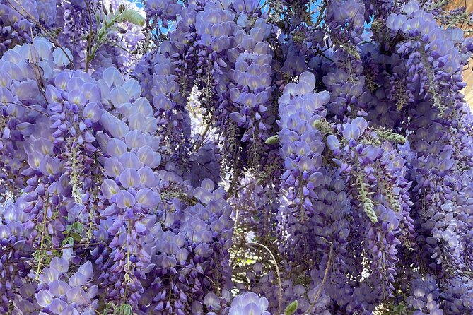 Private Tour of the Alhambra in Granada (includes tickets) - Inside the Nasrid Palaces: Artistic and Architectural Marvels