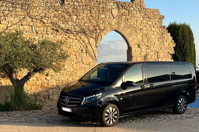 Private tour of the Alpilles, Arles and Baux de Provence - A Glimpse into the One Review