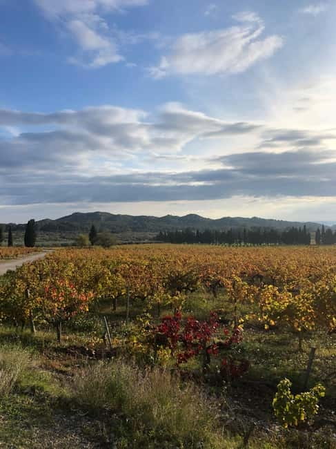 Private tour of the Alpilles, wine tastings, and local restaurant - Discover the Charms of the Alpilles on a Private Tour