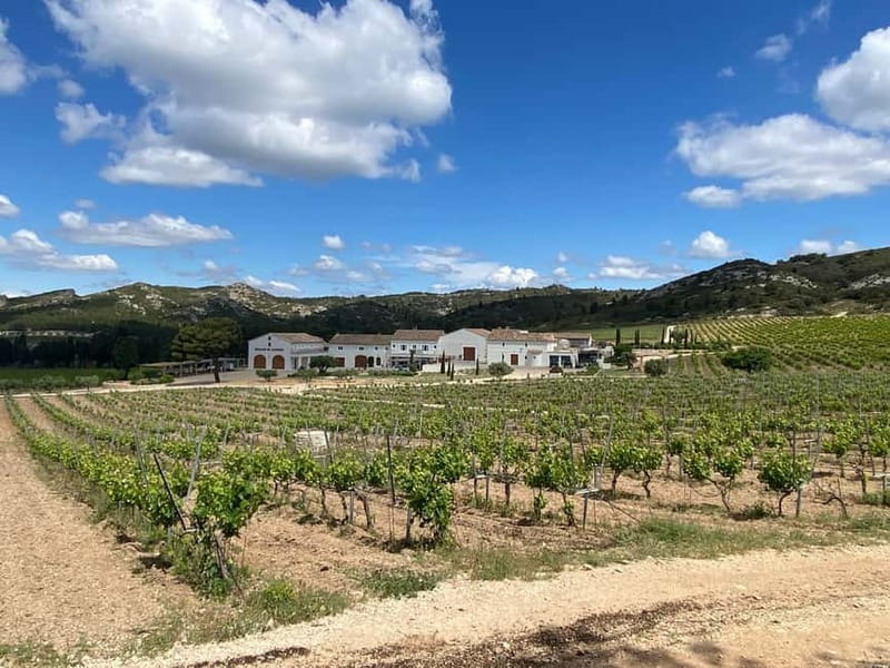 Private tour of the Alpilles, wine tastings, and local restaurant - Key Points