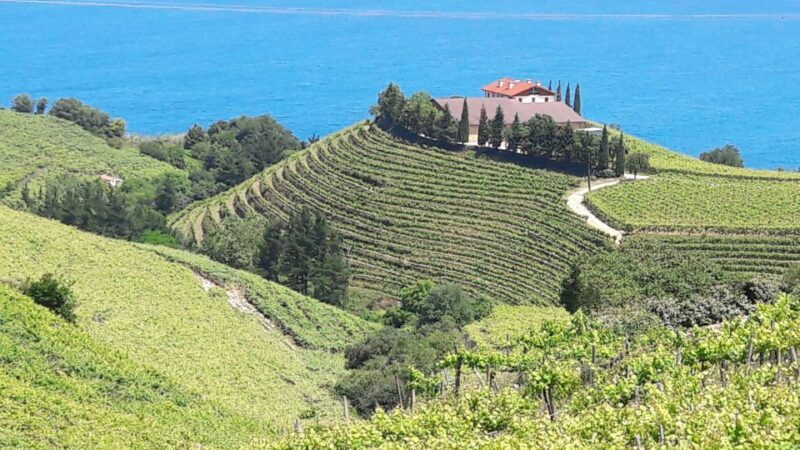 Private Tour of the Basque Coast and Countryside - Scenic Mountain Views from Ernio and Izarraitz