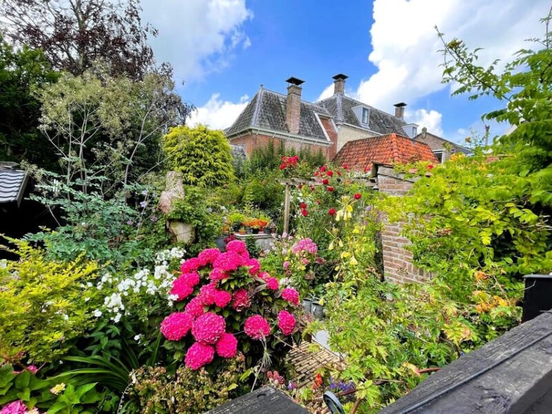 Private Tour of the Dutch Countryside by Car - Comfort and Convenience of a Private Vehicle