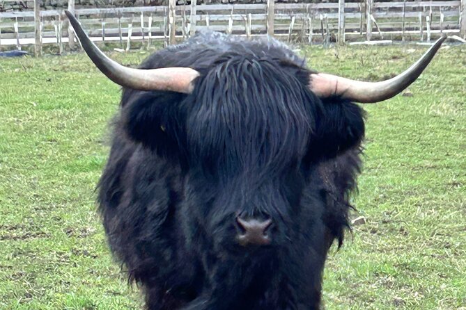 Private Tour of the Highlands, Glencoe and Castles from Stirling - Key Points