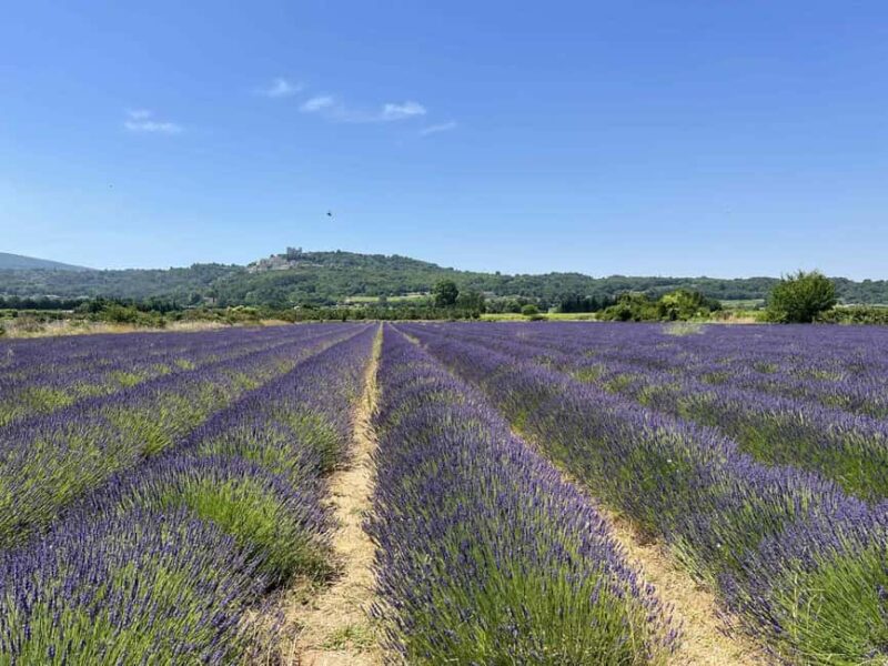Private tour of the hilltop villages of the Luberon with a local guide - Discovering the Hilltop Villages of the Luberon with a Private Guide