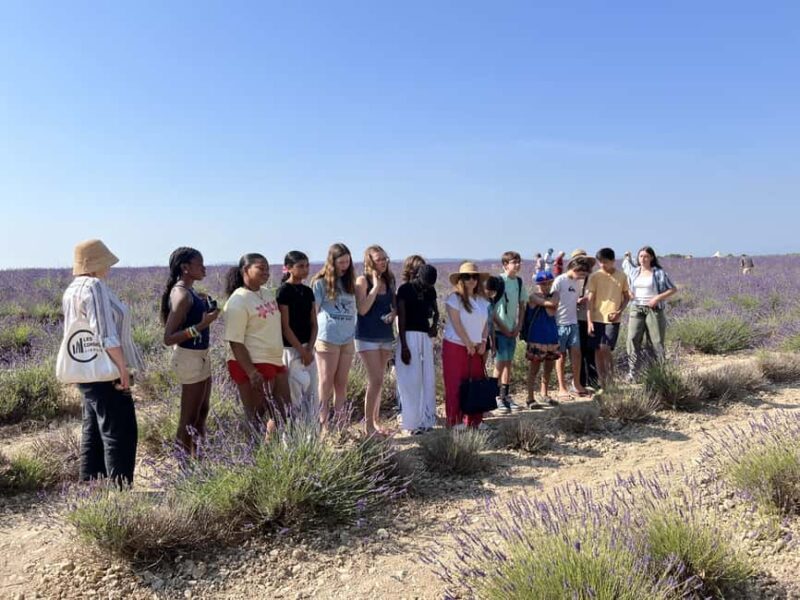 Private tour of the hilltop villages of the Luberon with a local guide - What’s Included and What’s Not in the Price