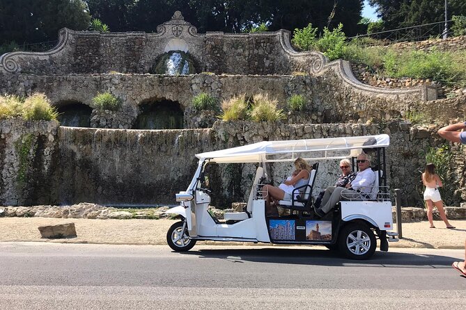 Private Tour of the Historic Center of Florence by Golf Car - The Guide and Overall Experience