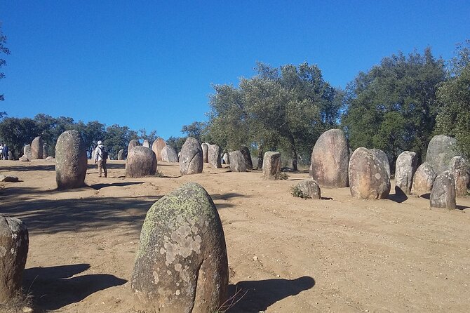 Private Tour of the History of Évora - Practicalities: Meeting Point, Transport, and Group Size