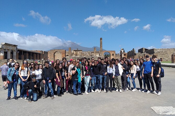 Private tour of the Pompeii excavations - The Experience’s Strengths and Limitations