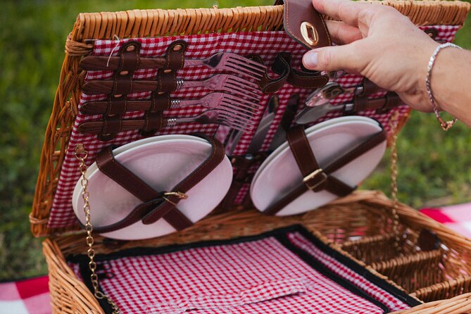 Private Tour of the Prosecco Hills in a vintage 500 - Exploring the Cartizze Vineyard Area