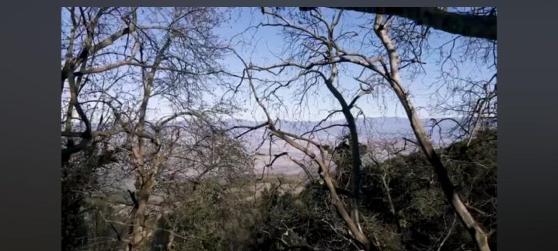 Private tour of Thermopylae with a Pickup - The Experience of a Knowledgeable Guide