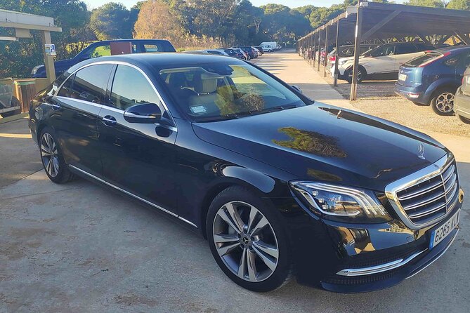 Private Tour of Valencia City - Meeting Point and Logistics