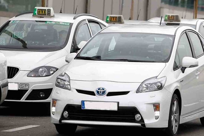 Private Tour of Valencia City - Visiting the Valencia Cathedral