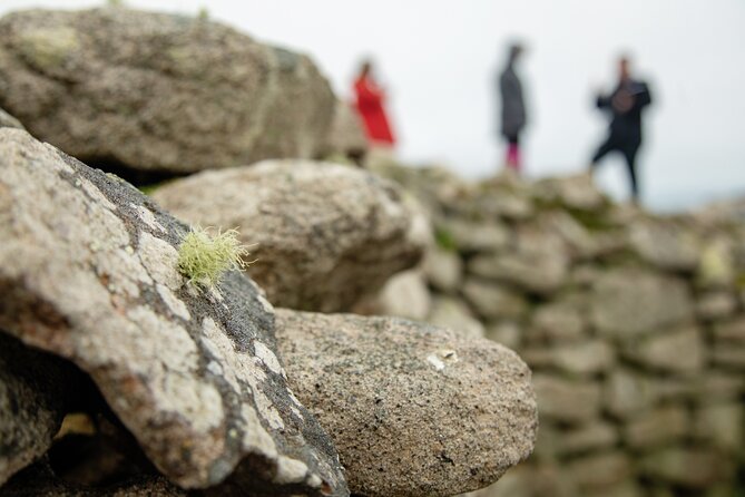 Private Tour of West Cornwall - Highly Varied Full Day Experience - Discovering Ancient Cornwall at Merry Maidens