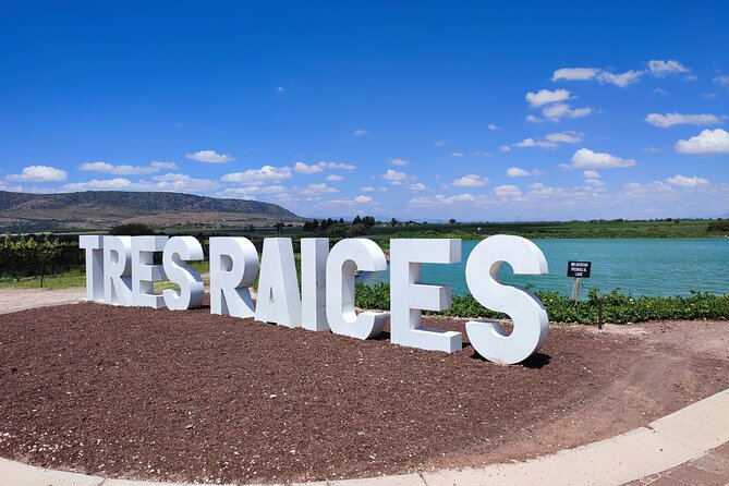 Private Tour of Wineries in San Miguel - Frequently Asked Questions