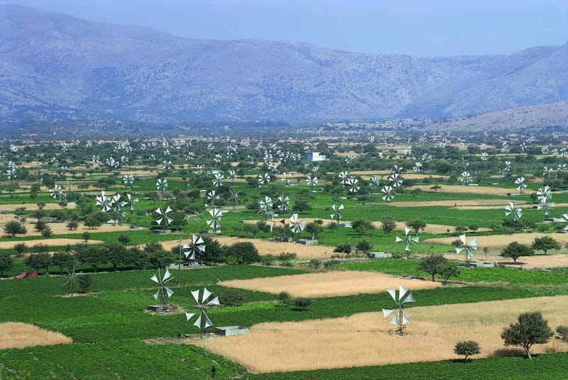 Private Tour, Olive Mill, Scotino Cave, Lasithi Plateau H/D - Key Points