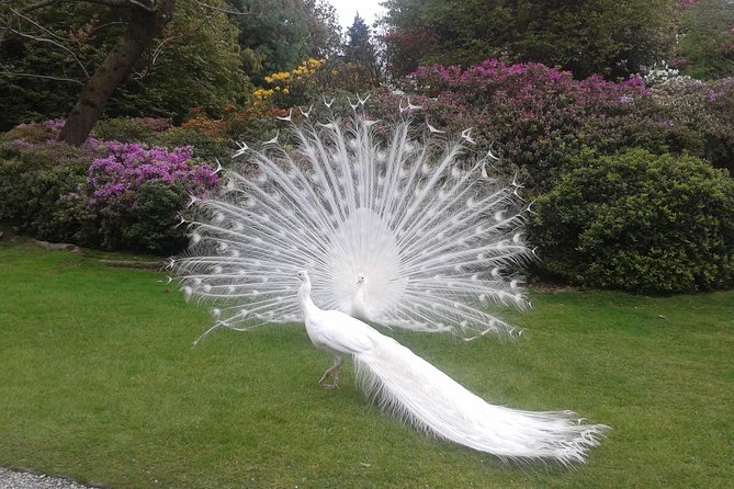 Private tour on isola Bella with a tour guide and sunset cruise. - Flexibility and Cancellation Policy