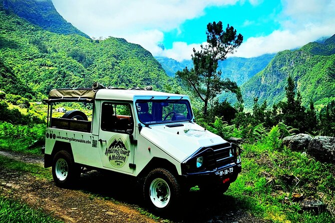 Private Tour on Madeira Island (max 6 people) - Exploring Madeira’s UNESCO Laurissilva Forest
