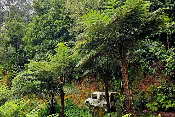 Private Tour on Madeira Island (max 6 people) - Marveling at Veu da Noiva Waterfall