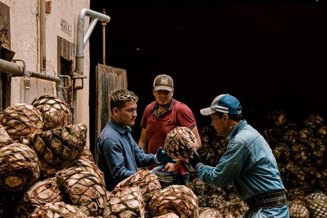 Private Tour one day of Adventure in Tequila and Tequilera Cascahuin - Starting the Tour at Tequila Selecto de Amatitán