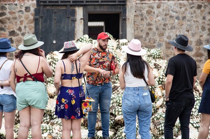 Private Tour one day of Adventure in the Guachimontones and Tequila Pueblo Mágico - What’s Not Included and Planning Tips