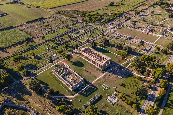 Private Tour: Paestum, Mozzarella Bufala guided tour and lunch - Tasting the Farms Dairy and Local Products