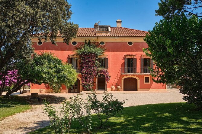 Private Tour: Paestum, Mozzarella Bufala guided tour and lunch - Return Journey to Salerno