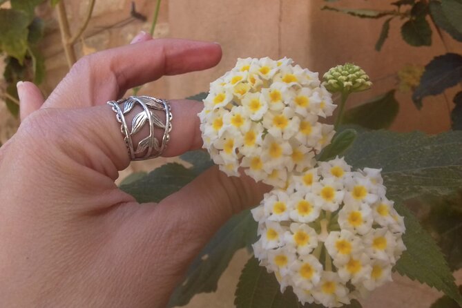 Private tour Palace of Dueñas - Meeting Point and Tour Logistics